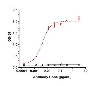 Anti-ERBB2 / HER2 / CD340 Reference Antibody (disitamab)