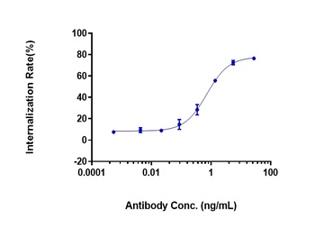 Anti-FOLR1 Reference Antibody
