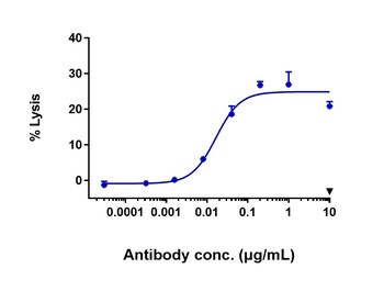 Anti-FGFR2 / CD332 Reference Antibody