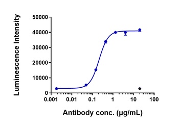 Anti-FGFR2 / CD332 Reference Antibody