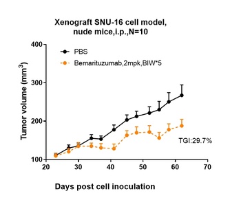 Anti-FGFR2 / CD332 Reference Antibody