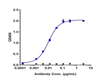 Anti-FcRn (FCGRT & B2M) Reference Antibody