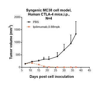 Anti-CTLA-4 / CD152 Reference Antibody (ipilimumab)