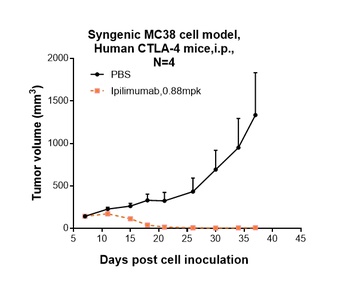 Anti-CTLA-4 / CD152 Reference Antibody