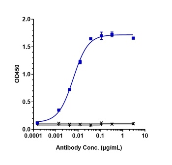 Anti-CCN2 / CTGF Reference Antibody (pamrevlumab)