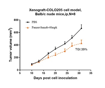 Anti-CCN2 / CTGF Reference Antibody (pamrevlumab)