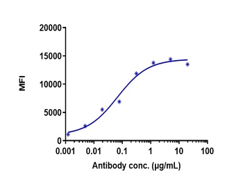 Anti-TNFSF7 / CD27L / CD70 Reference Antibody
