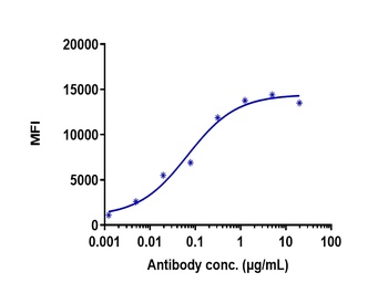Anti-TNFSF7 / CD27L / CD70 Reference Antibody (vorsetuzumab)
