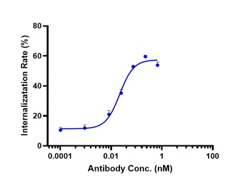 Anti-TNFSF7 / CD27L / CD70 Reference Antibody (vorsetuzumab)