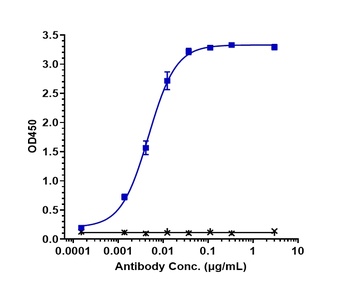 TSPAN26/CD37 Antibody