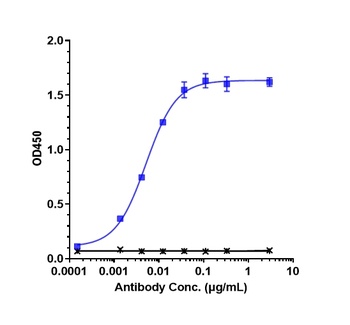 Anti-TNFRSF8 / CD30 Reference Antibody (brentuximab)
