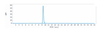 Anti-TNFRSF7 / CD27 Reference Antibody