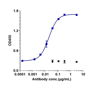 Anti-TNFRSF7 / CD27 Reference Antibody