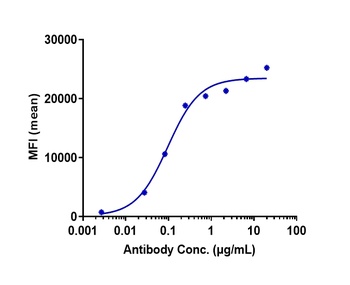 Anti-TNFRSF7 / CD27 Reference Antibody