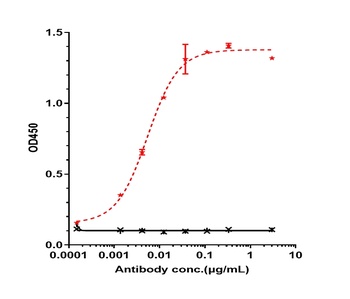 CD20 Antibody
