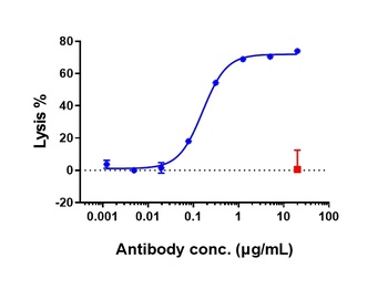 Anti-CD20 Reference Antibody