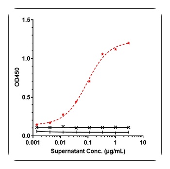 Anti-CD19 Reference Antibody (tafasitamab)