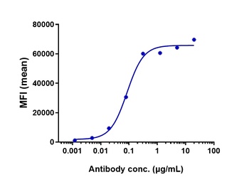 Anti-CD19 Reference Antibody (tafasitamab)