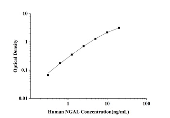 Human Neutrophil Gelatinase Associated Lipocalin (NGAL) ELISA Kit