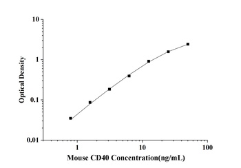 Mouse Cluster of Differentiation 40 (CD40) ELISA Kit