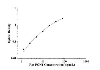 Rat Paraoxonase 1 (PON1) ELISA Kit