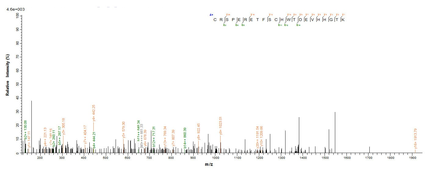 Human GHR protein