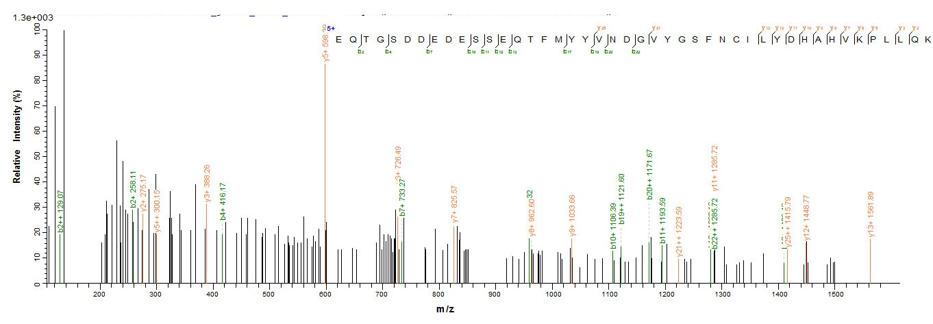 Viral ODC1 protein