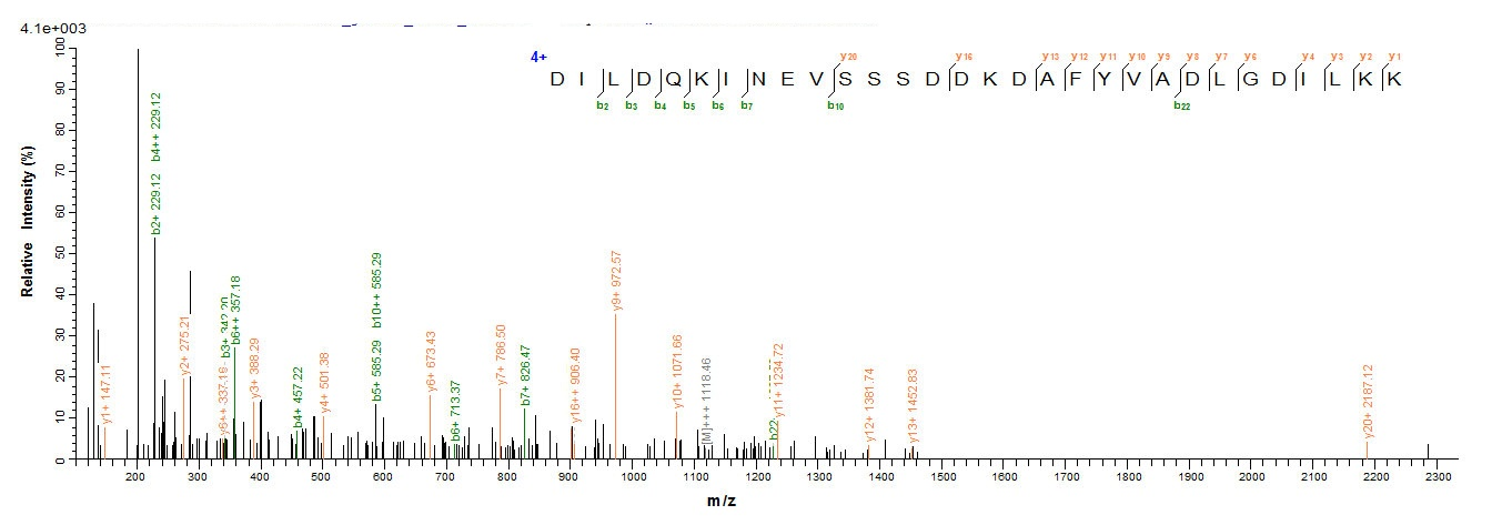 Viral ODC1 protein