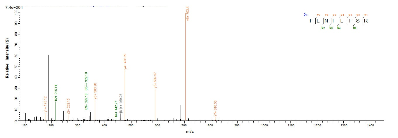 Sheep IL4 protein