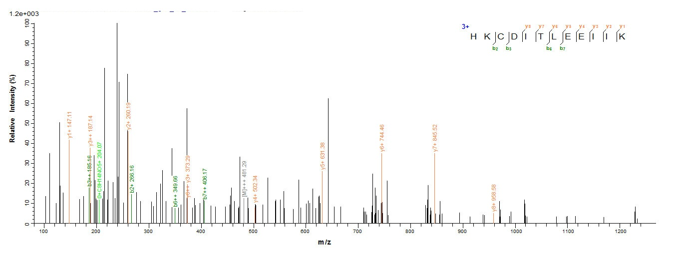 Sheep IL4 protein