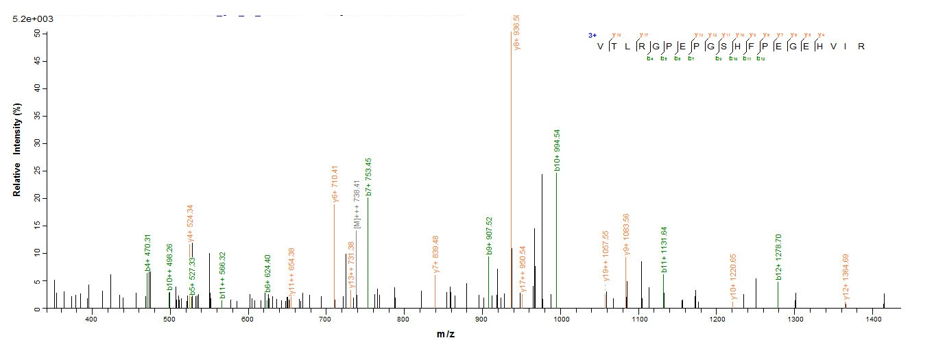 Mouse Srpx2 protein