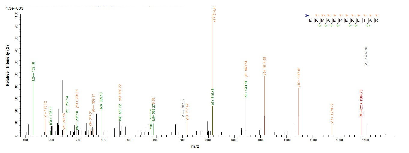 Mouse Srpx2 protein