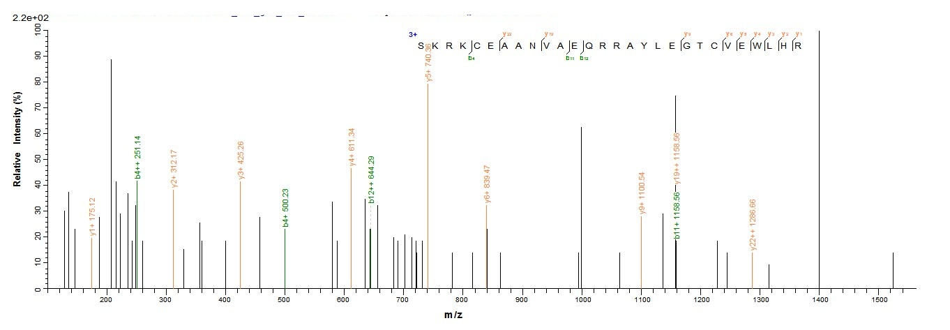 Human HLA G protein