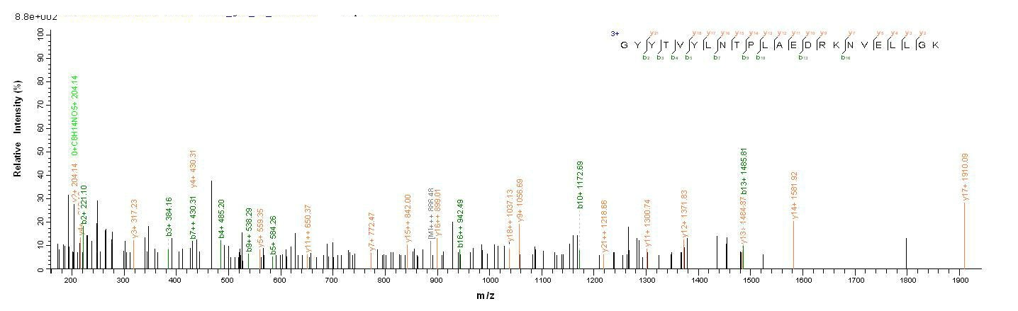Bacterial chp protein