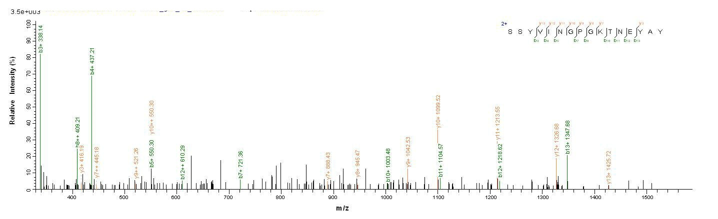 Bacterial chp protein