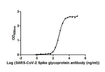 S Antibody