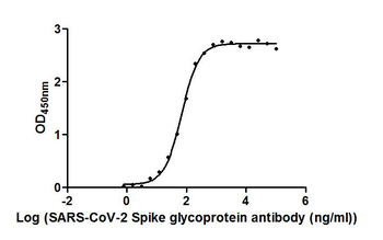 S Antibody