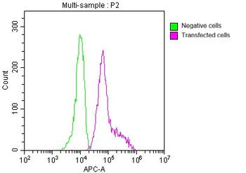 GFP Tag Antibody