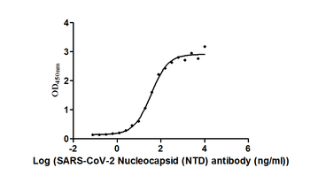 Nucleoprotein (NTD) Antibody
