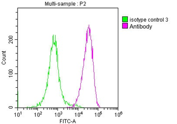 CD48 Antibody
