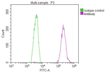 TSG101 Antibody