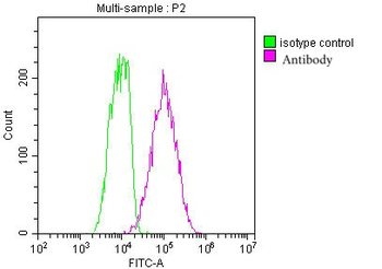 CD9 Antibody
