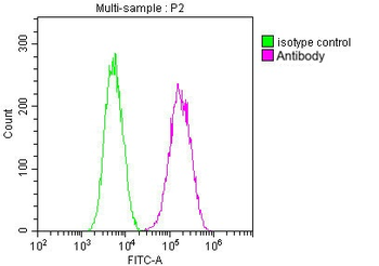 CD9 Antibody