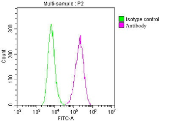 CD9 Antibody
