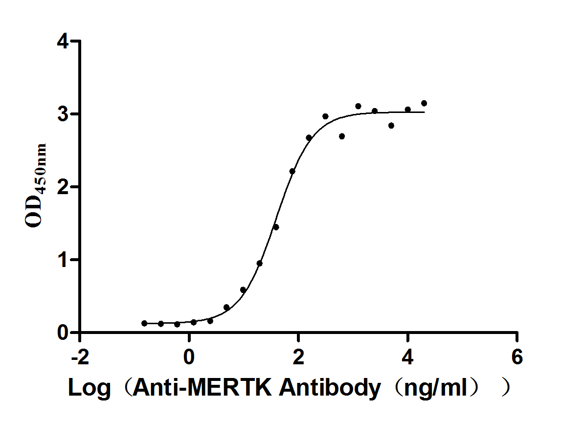 Recombinant Human Tyrosine-protein kinase Mer (MERTK), partial (Active)