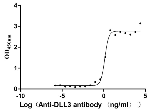 Recombinant Human Delta-like protein 3 (DLL3), partial (Active)