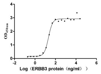 Recombinant Human Pro-neuregulin-1, membrane-bound isoform (NRG1), partial (Active)