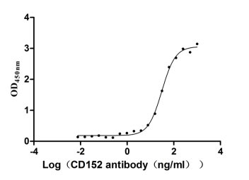 Recombinant Human Cytotoxic T-lymphocyte protein 4 (CTLA4), partial (Active)