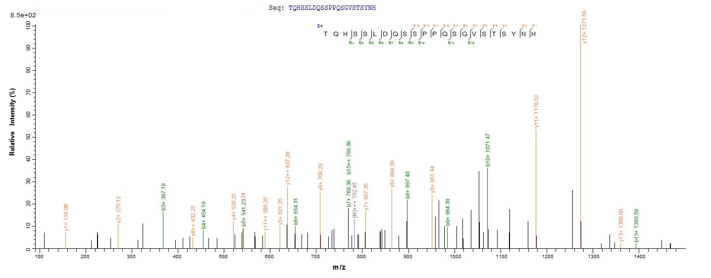 Recombinant Human Histone deacetylase 4 (HDAC4), partial