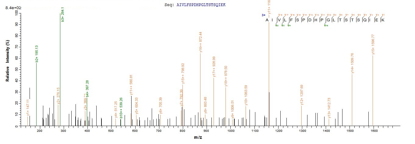 Recombinant Human Nuclear receptor subfamily 2 group C member 2 (Nr2c2), partial